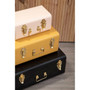 Parley Set of Three Assorted Storage Trunks