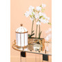 Fiori White Orchid Plant