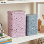 Paice Set of 2 Stellar Storage Canisters