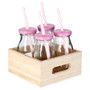 Pink Straws and Lids Glass Drinking Bottles