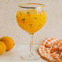 Mila Set Of 2 Citrus Design Gin Glasses