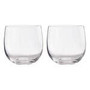 Mila Set Of 2 Glass Tumblers