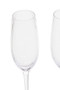 Lyle Set of Four Champagne Glasses