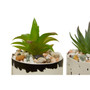 Mimo Set of 3 White / Black Succulents