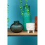 Mimo Large Aqua Face Vase