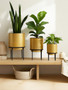 Avento Set Of Three Gold Finish Planters