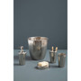 SNickel Finish Toothbrush Holder
