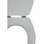 Matt Grey Toilet Seat