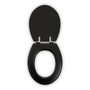 Black Panel Effect Toilet Seat