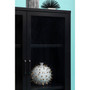 Acier Two Door Black Cabinet  with Shelf