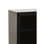 Acier Two Door Black Cabinet  with Shelf