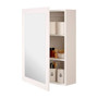 Mirrored Wall Cabinet with 2 Inner Shelves