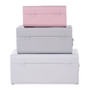 Set of 3 Assorted Colors Storage Trunks Set of 3 Assorted Colors Storage Trunks