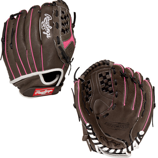 pro everlast boxing gloves