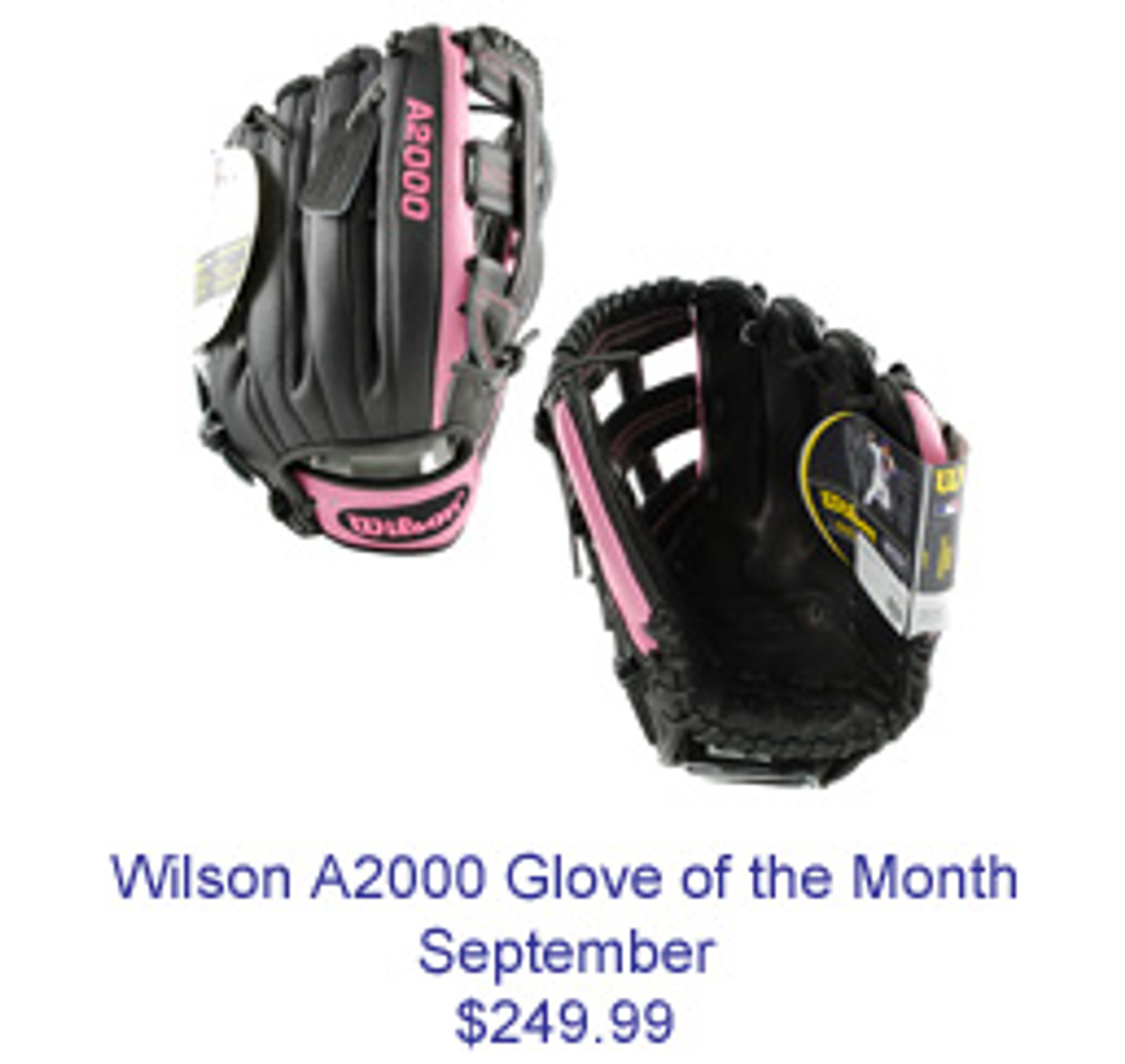 Wilson August 2013 Glove of the Month 1787 Hanley Ramirez Model