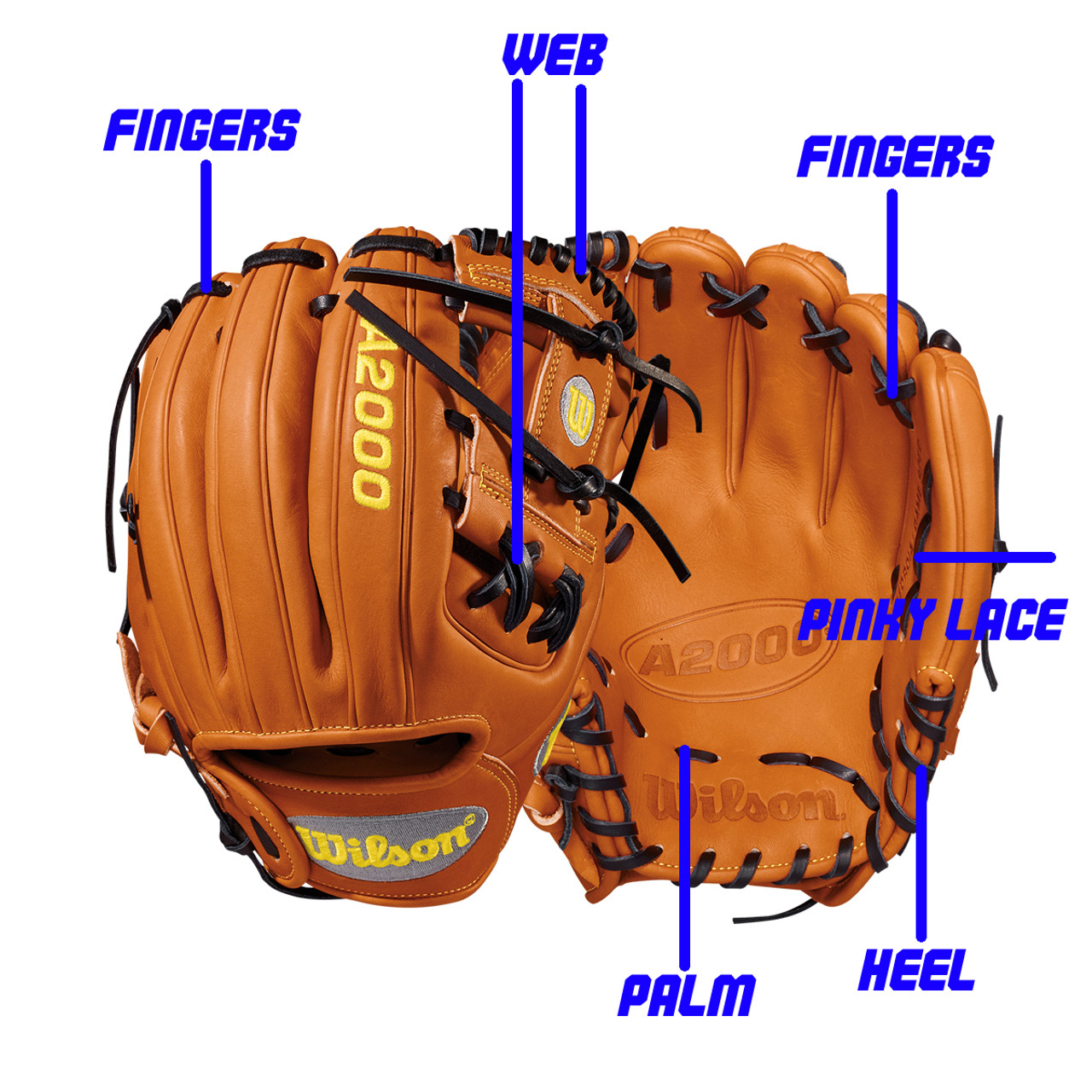 wilson a2000 trapeze web