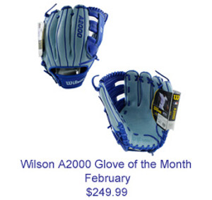 Wilson February 2014 Glove of the Month 11.75" G5 Model