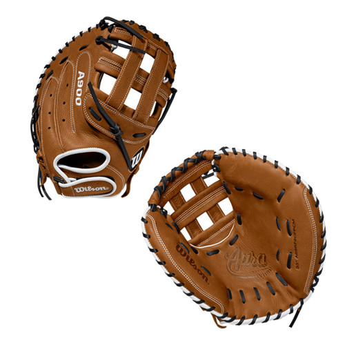 a900 catchers mitt