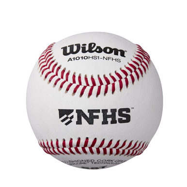 Wilson_A1010_BHS1SST__59302.