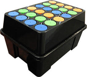 Seahawk Cloning station 24