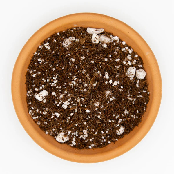 Coco Pearl 50L – 70% Coco / 30% Perlite