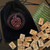 Viking - Norse Rune Set from Deva Designs