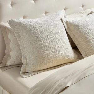 Brisbane Natural Euro Sham - 193842163740