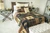 Brown Bear Cabin Quilt Collection -