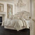 Trinity Champagne Comforter Set - 193842113868