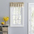 Cherries Curtains - 730462535016
