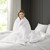 Lola 6 Piece Printed Duvet Cover Set - 086569015686
