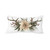 Dashing Pillow Set - 754069007646