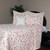 Seashells Bedding Collection -