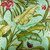 Wailea Coast Bloom Fabric by the Yard - 013864128018