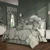 Alina Dusty Teal Comforter Set - 193842165034