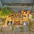 Persimmon Don't Let The Cats Out Doormat - 762242085459