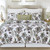 Braelyn Quilt Set - 008246718291