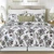 Braelyn Quilt Set - 008246718291