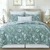 Everview Sage Quilt Set - 008246718352