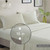 Jaxon Stripe Comforter Set with Bed Sheets - 022164226386