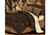 Laredo Chocolate Comforter Set - 890830102674