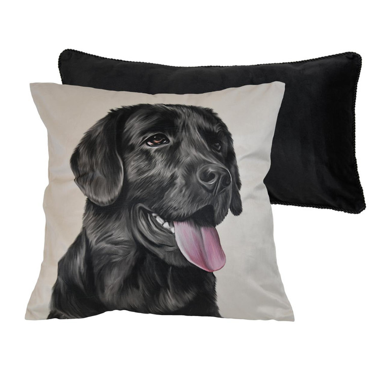 Log Cabin Star 2 Piece Pillow - 754069649990