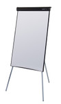 Magnetic Flip Chart and Stand/Easel