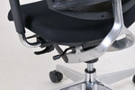 Tekno Highly Ergonomic Mesh Back Office Chair