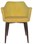 Coogee Metal Dark Walnut Arm Chair