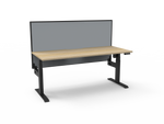 Lift Light Single Electric Stand Up Desk