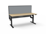 Lift Light Single Electric Stand Up Desk