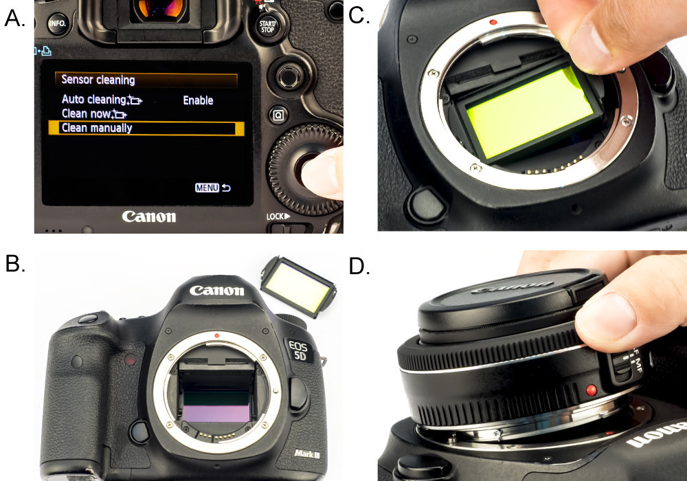 STC クリップ Astro-MS フィルター - ペンタックス STC クリップ Astro-MS フィルター - ペンタックス
