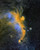 Seagull Nebula by James Shimoji