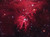 NGC2264 captured with QHYCCD 163M by Jerry Huang

Paramount MX
GSO RC10, AP CCDT67, QHYCCD 163M 
Optolong Ha: 32x1200" bin 1x1
Optolong R: 15x600" bin 1x1
Optolong G: 18x600" bin 1x1
Optolong B: 17x600" bin 1x1
Registar, DeepSkyStacker, Photoshop CC
